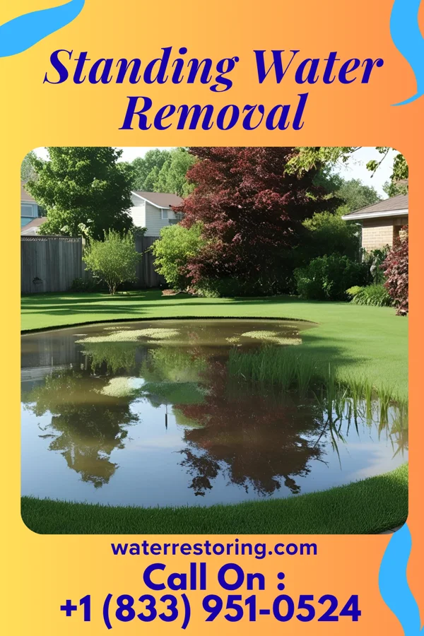 Standing Water Removal in Estelline, TX